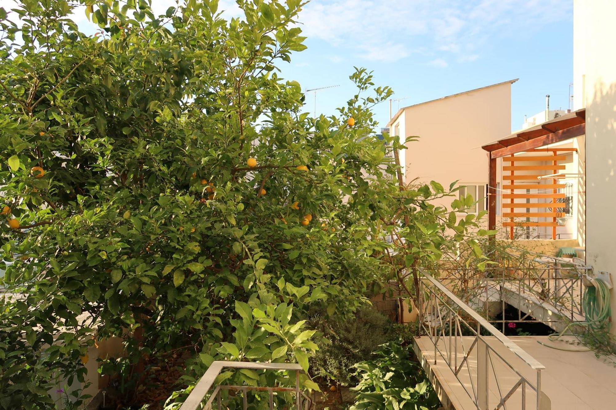 Sunbeam Retreat Villa Chania  Exterior photo